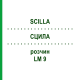 СЦИЛЛА (SCILLA) LM 9 раствор 10 мл - Гомеопатия ARCANA DR.SEWERIN