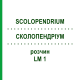 СКОЛОПЕНДРИУМ (SCOLOPENDRIUM) LM 1 раствор 10 мл - Гомеопатия ARCANA DR.SEWERIN