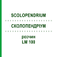 СКОЛОПЕНДРИУМ (SCOLOPENDRIUM) LM 100 раствор 10 мл - Гомеопатия ARCANA DR.SEWERIN
