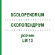 СКОЛОПЕНДРИУМ (SCOLOPENDRIUM) LM 13 раствор 10 мл - Гомеопатия ARCANA DR.SEWERIN
