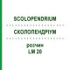 СКОЛОПЕНДРИУМ (SCOLOPENDRIUM) LM 20 раствор 10 мл - Гомеопатия ARCANA DR.SEWERIN