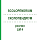 СКОЛОПЕНДРИУМ (SCOLOPENDRIUM) LM 4 раствор 10 мл - Гомеопатия ARCANA DR.SEWERIN