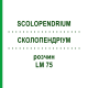 СКОЛОПЕНДРИУМ (SCOLOPENDRIUM) LM 75 раствор 10 мл - Гомеопатия ARCANA DR.SEWERIN