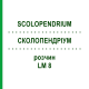 СКОЛОПЕНДРИУМ (SCOLOPENDRIUM) LM 8 раствор 10 мл - Гомеопатия ARCANA DR.SEWERIN
