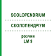 СКОЛОПЕНДРИУМ (SCOLOPENDRIUM) LM 9 раствор 10 мл - Гомеопатия ARCANA DR.SEWERIN