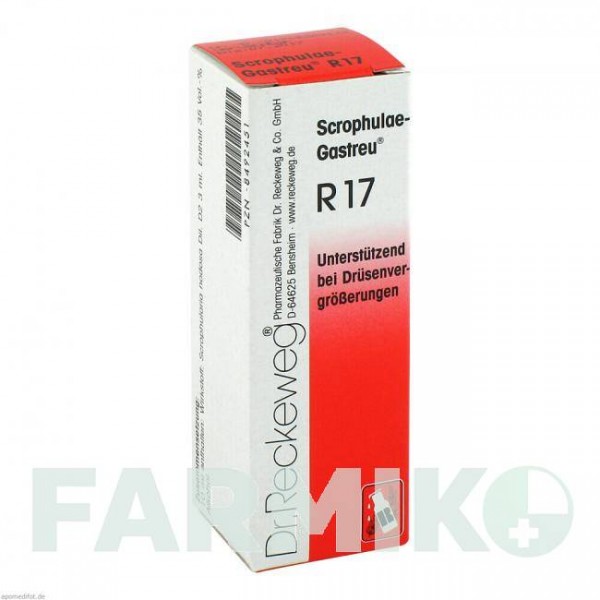 СКРОФУЛЕ (SCROPHULAE) суміш 22 мл - Гомеопатія DR.RECKEWEG