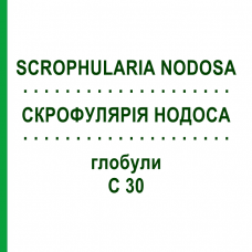 СКРОФУЛЯРИЯ НОДОСА (SCROPHULARIA NODOSA) C 30 глобули 10 г - Гомеопатия DHU