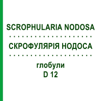 СКРОФУЛЯРІЯ НОДОСА (SCROPHULARIA NODOSA) D 12 глобули 10 г - Гомеопатія DR.RECKEWEG