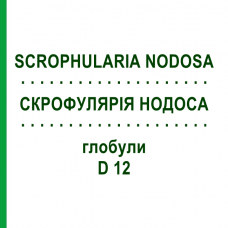 СКРОФУЛЯРІЯ НОДОСА (SCROPHULARIA NODOSA) D 12 глобули 10 г - Гомеопатія DR.RECKEWEG