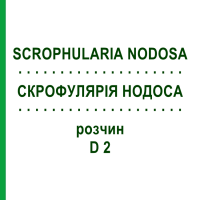 СКРОФУЛЯРІЯ НОДОСА (SCROPHULARIA NODOSA) D 2 розчин 20 мл - Гомеопатія DHU