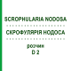 СКРОФУЛЯРИЯ НОДОСА (SCROPHULARIA NODOSA) D 2 раствор 20 мл - Гомеопатия DHU