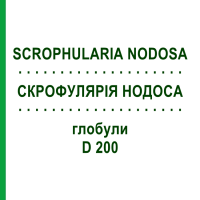 СКРОФУЛЯРІЯ НОДОСА (SCROPHULARIA NODOSA) D 200 глобули 10 г - Гомеопатія DR.RECKEWEG