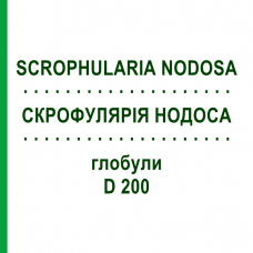 СКРОФУЛЯРІЯ НОДОСА (SCROPHULARIA NODOSA) D 200 глобули 10 г - Гомеопатія DR.RECKEWEG
