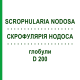 СКРОФУЛЯРІЯ НОДОСА (SCROPHULARIA NODOSA) D 200 глобули 10 г - Гомеопатія DR.RECKEWEG