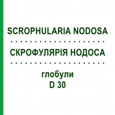СКРОФУЛЯРІЯ НОДОСА (SCROPHULARIA NODOSA) D 30 глобули 10 г - Гомеопатія DR.RECKEWEG