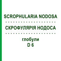 СКРОФУЛЯРІЯ НОДОСА (SCROPHULARIA NODOSA) D 6 глобули 10 г - Гомеопатія DHU