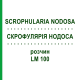 СКРОФУЛЯРИЯ НОДОСА (SCROPHULARIA NODOSA) LM 100 раствор 10 мл - Гомеопатия ARCANA DR.SEWERIN