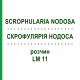 СКРОФУЛЯРИЯ НОДОСА (SCROPHULARIA NODOSA) LM 11 раствор 10 мл - Гомеопатия ARCANA DR.SEWERIN