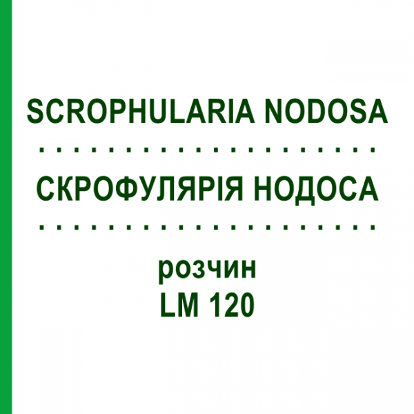 СКРОФУЛЯРИЯ НОДОСА (SCROPHULARIA NODOSA) LM 120 раствор 10 мл - Гомеопатия ARCANA DR.SEWERIN
