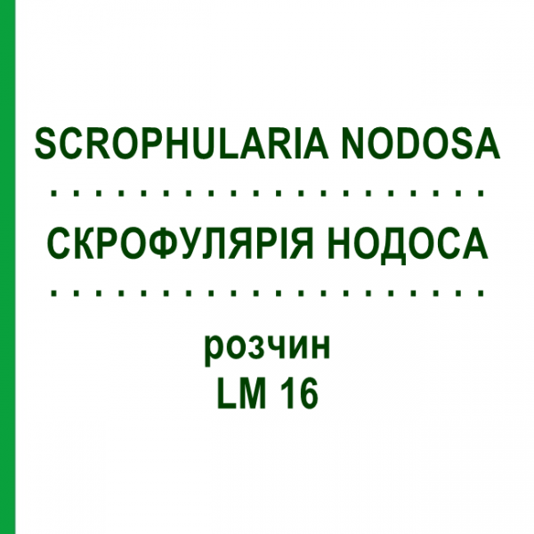 СКРОФУЛЯРИЯ НОДОСА (SCROPHULARIA NODOSA) LM 16 раствор 10 мл - Гомеопатия ARCANA DR.SEWERIN