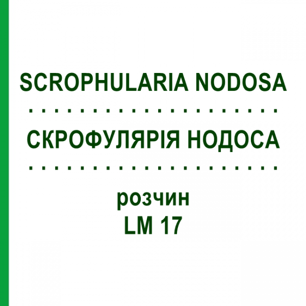 СКРОФУЛЯРИЯ НОДОСА (SCROPHULARIA NODOSA) LM 17 раствор 10 мл - Гомеопатия ARCANA DR.SEWERIN