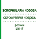 СКРОФУЛЯРИЯ НОДОСА (SCROPHULARIA NODOSA) LM 17 раствор 10 мл - Гомеопатия ARCANA DR.SEWERIN