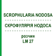 СКРОФУЛЯРИЯ НОДОСА (SCROPHULARIA NODOSA) LM 27 раствор 10 мл - Гомеопатия ARCANA DR.SEWERIN