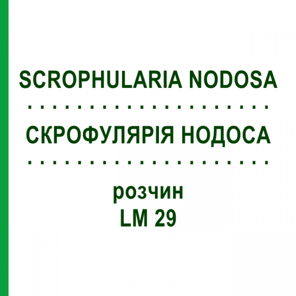 СКРОФУЛЯРІЯ НОДОСА (SCROPHULARIA NODOSA) LM 29 розчин 10 мл - Гомеопатія ARCANA DR.SEWERIN