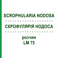 СКРОФУЛЯРИЯ НОДОСА (SCROPHULARIA NODOSA) LM 75 раствор 10 мл - Гомеопатия ARCANA DR.SEWERIN