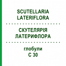 СКУТЕЛЛЯРИЯ ЛАТЕРИФЛОРА (SCUTELLARIA LATERIFLORA) C 30 глобули 10 г - Гомеопатия DHU