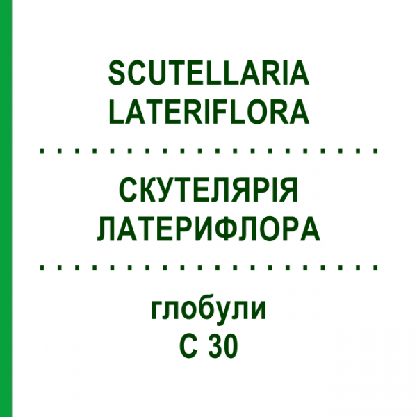 СКУТЕЛЛЯРИЯ ЛАТЕРИФЛОРА (SCUTELLARIA LATERIFLORA) C 30 глобули 10 г - Гомеопатия DHU
