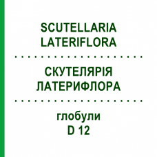 СКУТЕЛЛЯРИЯ ЛАТЕРИФЛОРА (SCUTELLARIA LATERIFLORA) D 12 глобули 10 г - Гомеопатия DHU