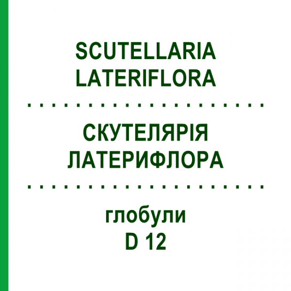 СКУТЕЛЯРІЯ ЛАТЕРИФЛОРА (SCUTELLARIA LATERIFLORA) D 12 глобули 10 г - Гомеопатія DHU