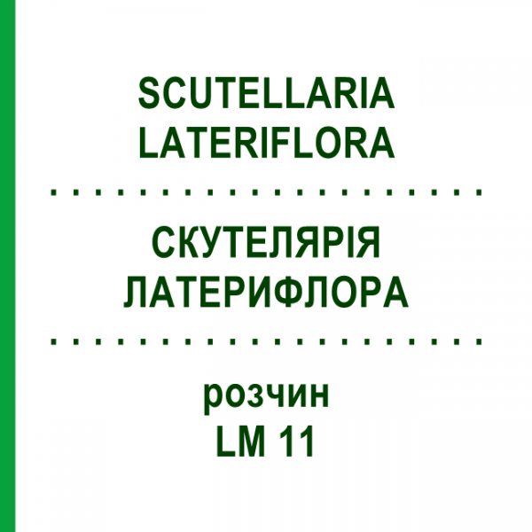 СКУТЕЛЛЯРИЯ ЛАТЕРИФЛОРА (SCUTELLARIA LATERIFLORA) LM 11 раствор 10 мл - Гомеопатия ARCANA DR.SEWERIN