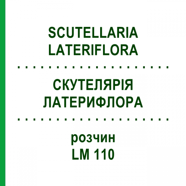 СКУТЕЛЛЯРИЯ ЛАТЕРИФЛОРА (SCUTELLARIA LATERIFLORA) LM 110 раствор 10 мл - Гомеопатия ARCANA DR.SEWERIN