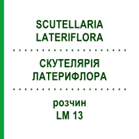 СКУТЕЛЛЯРИЯ ЛАТЕРИФЛОРА (SCUTELLARIA LATERIFLORA) LM 13 раствор 10 мл - Гомеопатия ARCANA DR.SEWERIN