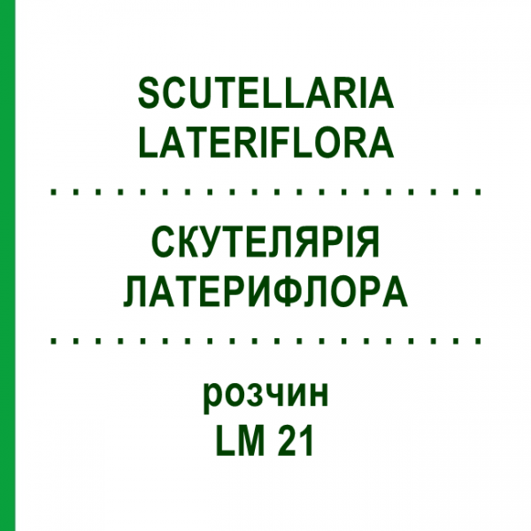 СКУТЕЛЛЯРИЯ ЛАТЕРИФЛОРА (SCUTELLARIA LATERIFLORA) LM 21 раствор 10 мл - Гомеопатия ARCANA DR.SEWERIN
