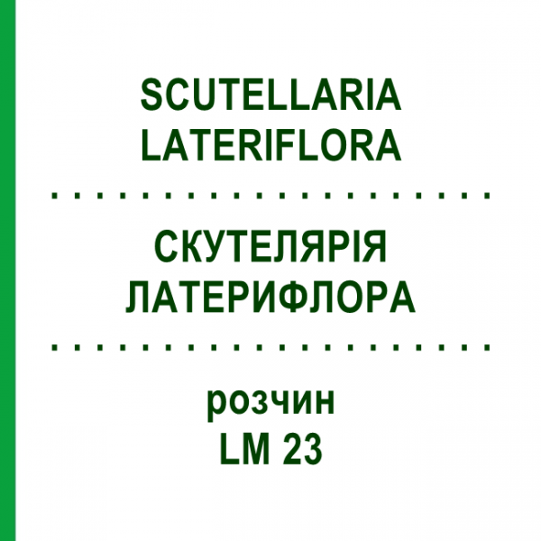 СКУТЕЛЛЯРИЯ ЛАТЕРИФЛОРА (SCUTELLARIA LATERIFLORA) LM 23 раствор 10 мл - Гомеопатия ARCANA DR.SEWERIN