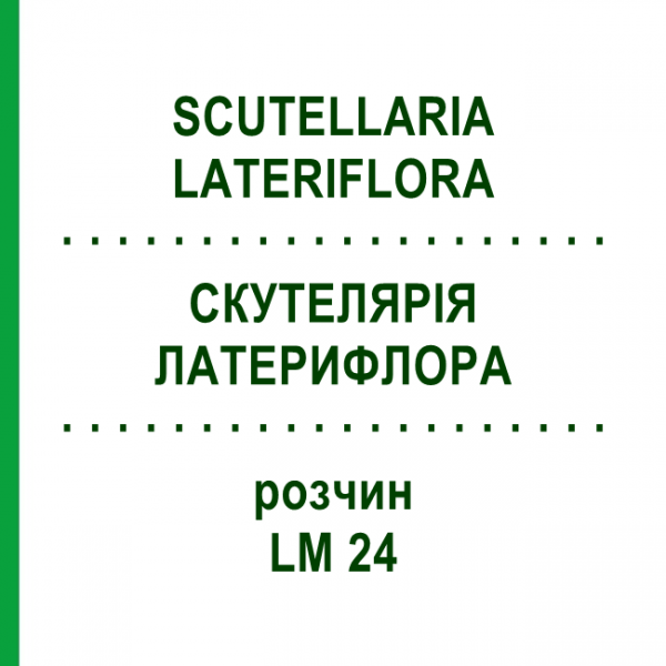 СКУТЕЛЛЯРИЯ ЛАТЕРИФЛОРА (SCUTELLARIA LATERIFLORA) LM 24 раствор 10 мл - Гомеопатия ARCANA DR.SEWERIN