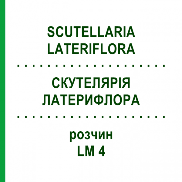СКУТЕЛЯРІЯ ЛАТЕРИФЛОРА (SCUTELLARIA LATERIFLORA) LM 4 розчин 10 мл - Гомеопатія ARCANA DR.SEWERIN