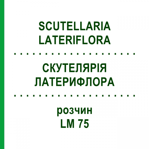 СКУТЕЛЯРІЯ ЛАТЕРИФЛОРА (SCUTELLARIA LATERIFLORA) LM 75 розчин 10 мл - Гомеопатія ARCANA DR.SEWERIN