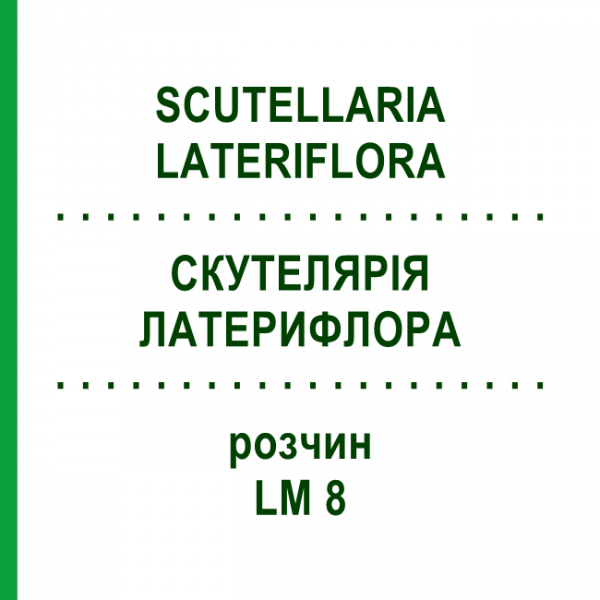 СКУТЕЛЛЯРИЯ ЛАТЕРИФЛОРА (SCUTELLARIA LATERIFLORA) LM 8 раствор 10 мл - Гомеопатия ARCANA DR.SEWERIN