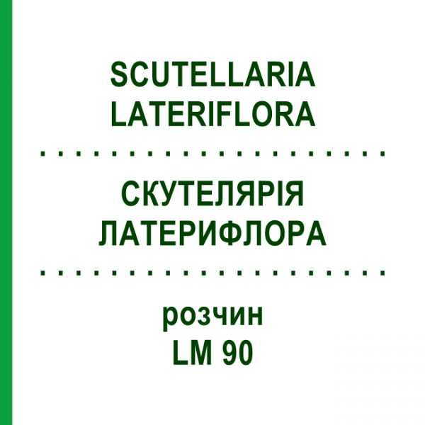 СКУТЕЛЛЯРИЯ ЛАТЕРИФЛОРА (SCUTELLARIA LATERIFLORA) LM 90 раствор 10 мл - Гомеопатия ARCANA DR.SEWERIN