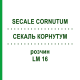 СЕКАЛЬ КОРНУТУМ (SECALE CORNUTUM) LM 16 раствор 10 мл - Гомеопатия ARCANA DR.SEWERIN