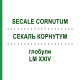 СЕКАЛЬ КОРНУТУМ (SECALE CORNUTUM) LM XXIV глобули 5 г - Гомеопатия DHU