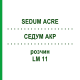 СЕДУМ АКР (SEDUM ACRE) LM 11 раствор 10 мл - Гомеопатия ARCANA DR.SEWERIN