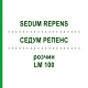 СЕДУМ РЕПЕНС (SEDUM REPENS) LM 100 раствор 10 мл - Гомеопатия ARCANA DR.SEWERIN