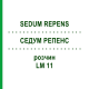 СЕДУМ РЕПЕНС (SEDUM REPENS) LM 11 раствор 10 мл - Гомеопатия ARCANA DR.SEWERIN