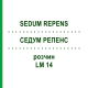 СЕДУМ РЕПЕНС (SEDUM REPENS) LM 14 раствор 10 мл - Гомеопатия ARCANA DR.SEWERIN