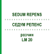 СЕДУМ РЕПЕНС (SEDUM REPENS) LM 20 раствор 10 мл - Гомеопатия ARCANA DR.SEWERIN